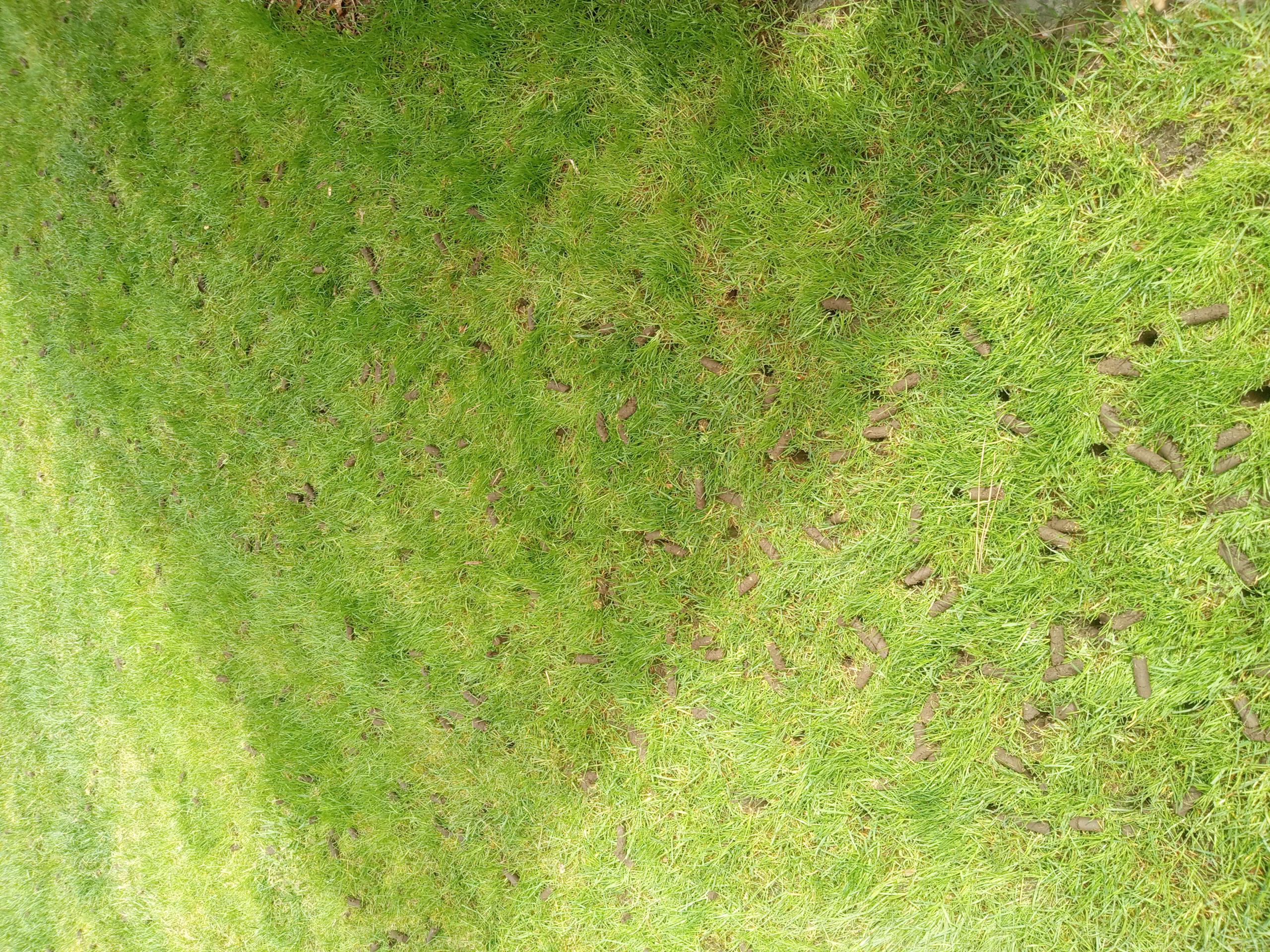 IMG_2026-04-27-13-33-06-803